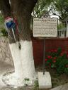 Little Graceland Sign on Highway 100 Texas