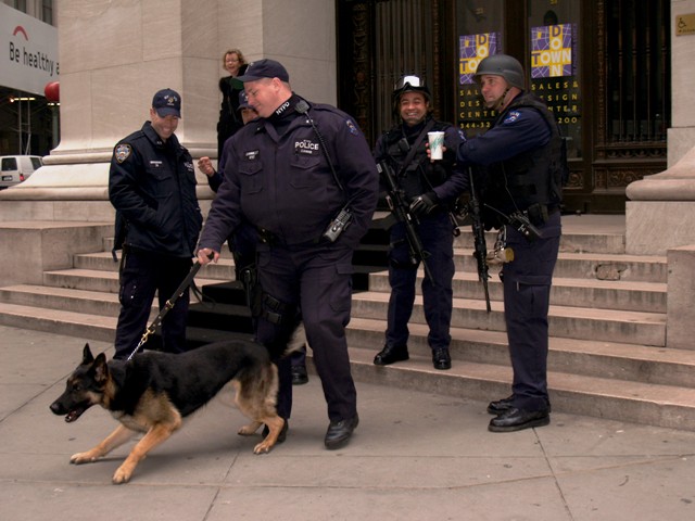 NYC Police Dog by Sheree Zielke