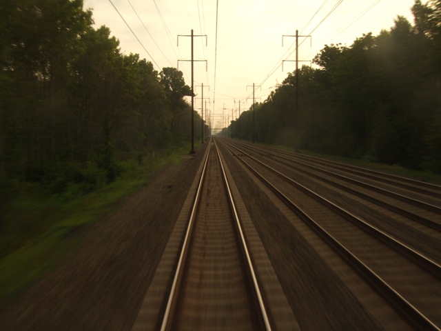 Amtrak rails from last car by Sheree Zielke