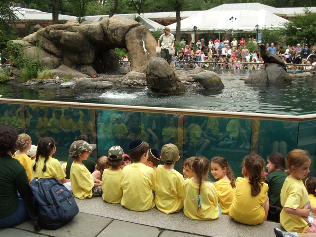 Children watch sea lion show in Central Park by Sheree Zielke